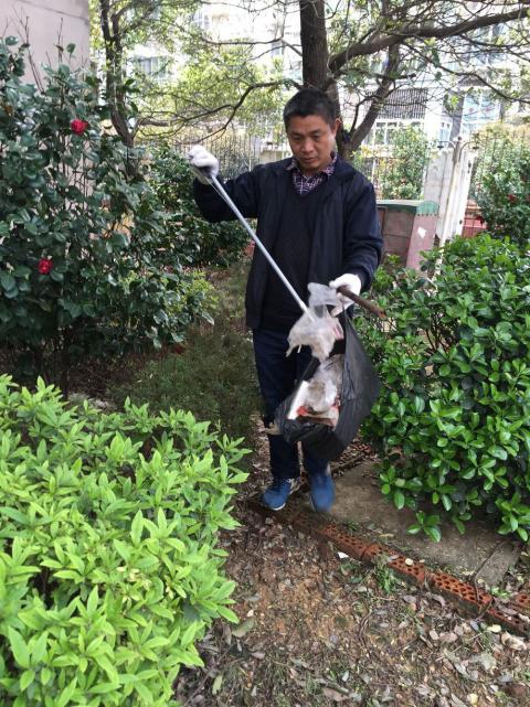 控制鼠害、預(yù)防疾病，構(gòu)建和諧文明社區(qū)